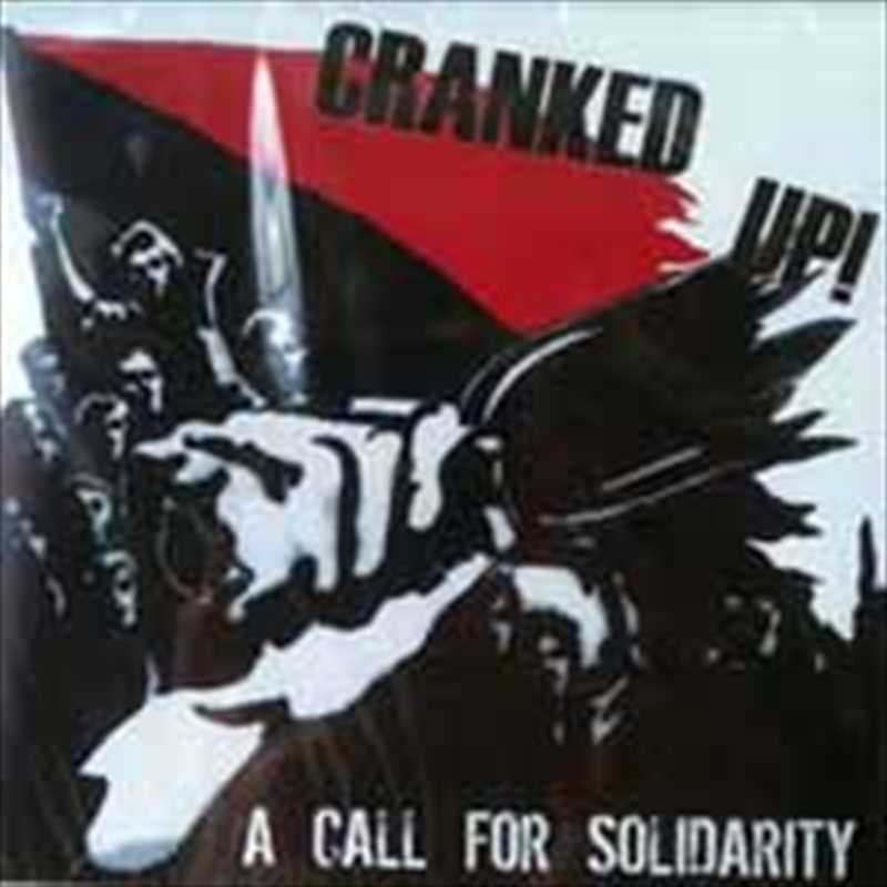 A Call For Solidarity/Product Detail/Punk