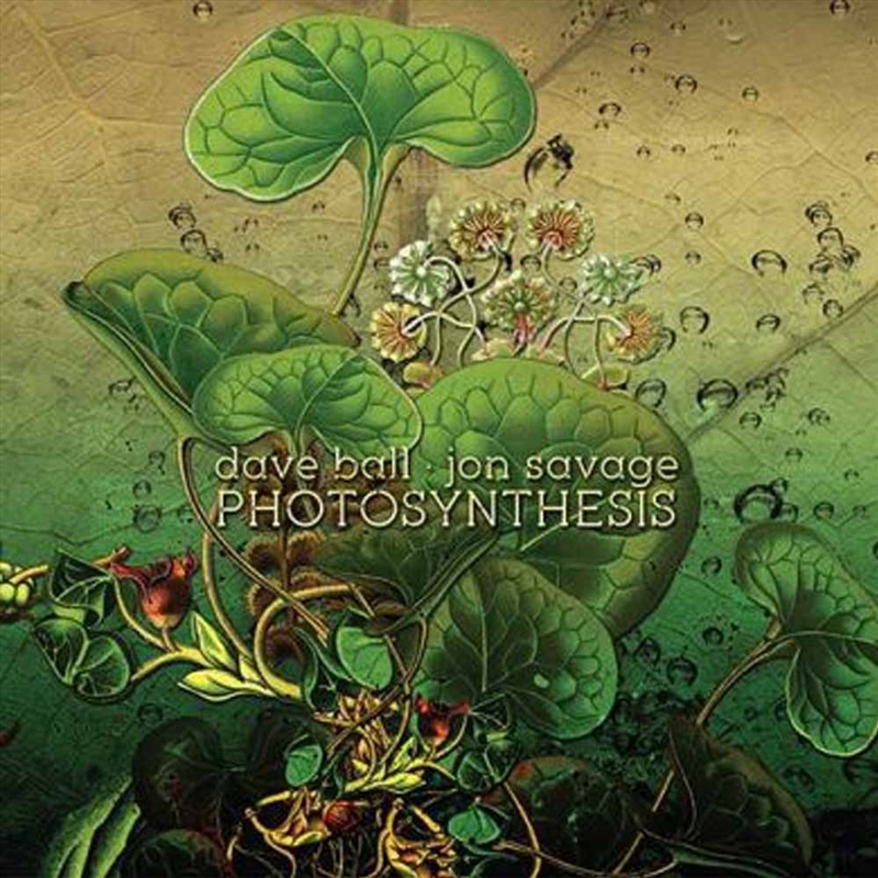 Photosynthesis/Product Detail/Rock/Pop