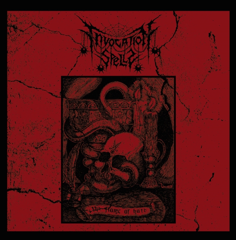 The Flame Of Hate/Product Detail/Rock/Pop