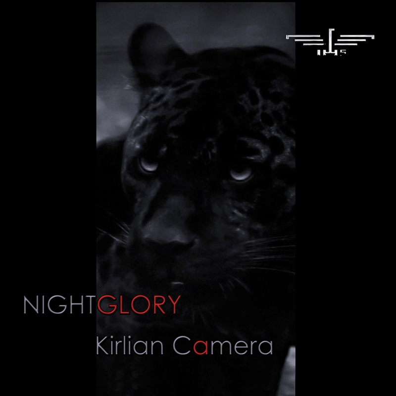 Nightglory/Product Detail/Dance