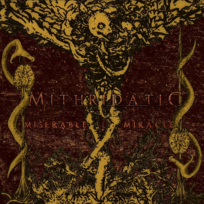 Miserable Miracle/Product Detail/Rock/Pop