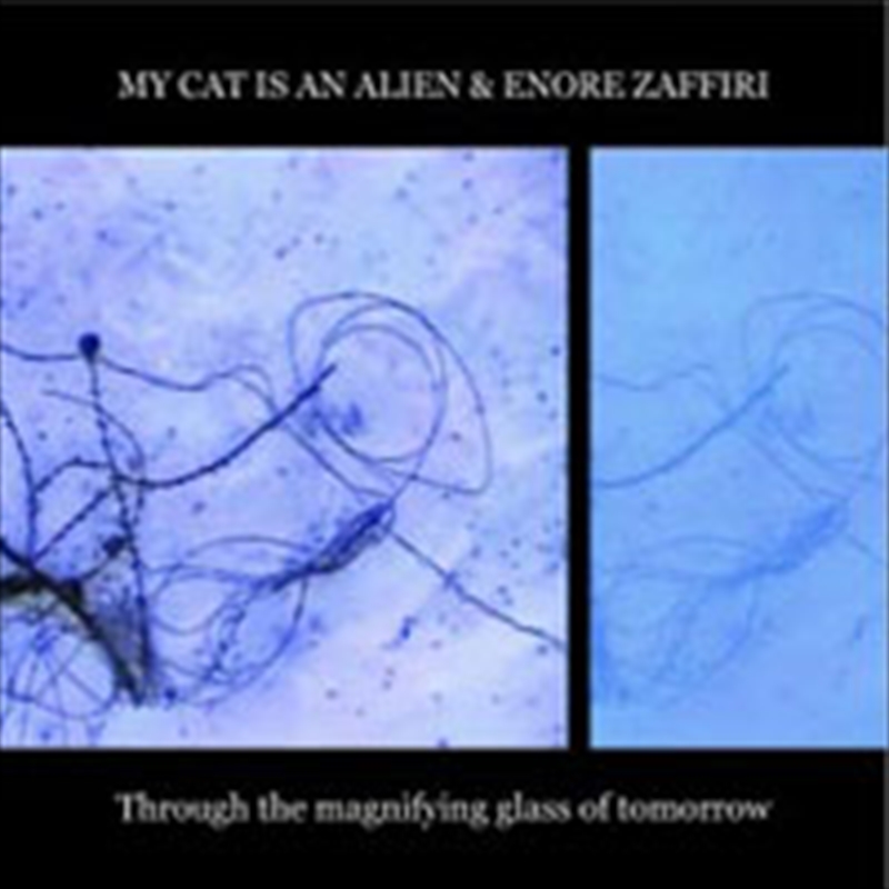 Through The Magnifying Glass O (Cd+Dvd)/Product Detail/Rock/Pop