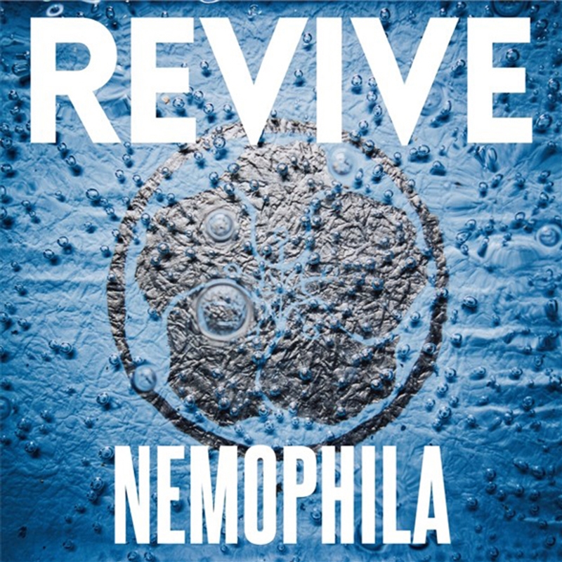 Revive/Product Detail/Rock/Pop
