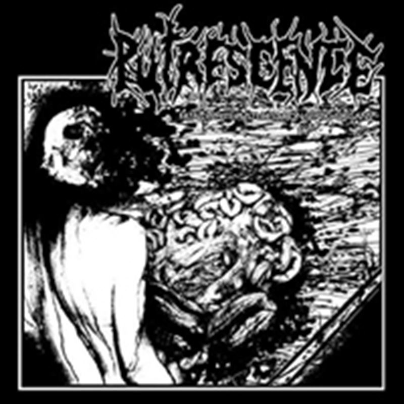 Fatal White Pustules Upon Septic Organs/Product Detail/Punk