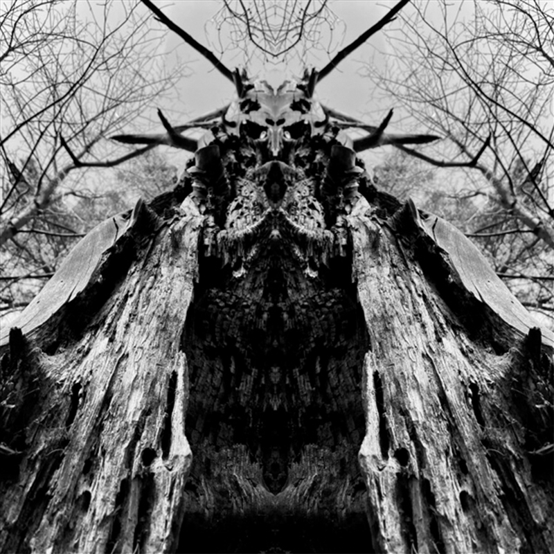 To Serve The Dune/Product Detail/Rock/Pop