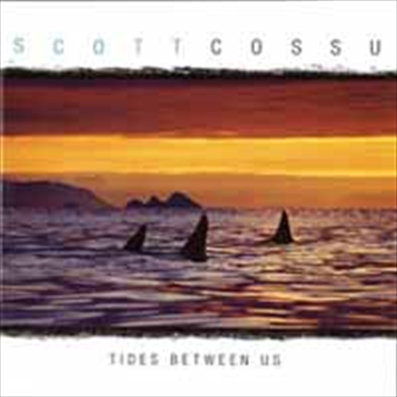 Tides Between Us/Product Detail/Rock/Pop