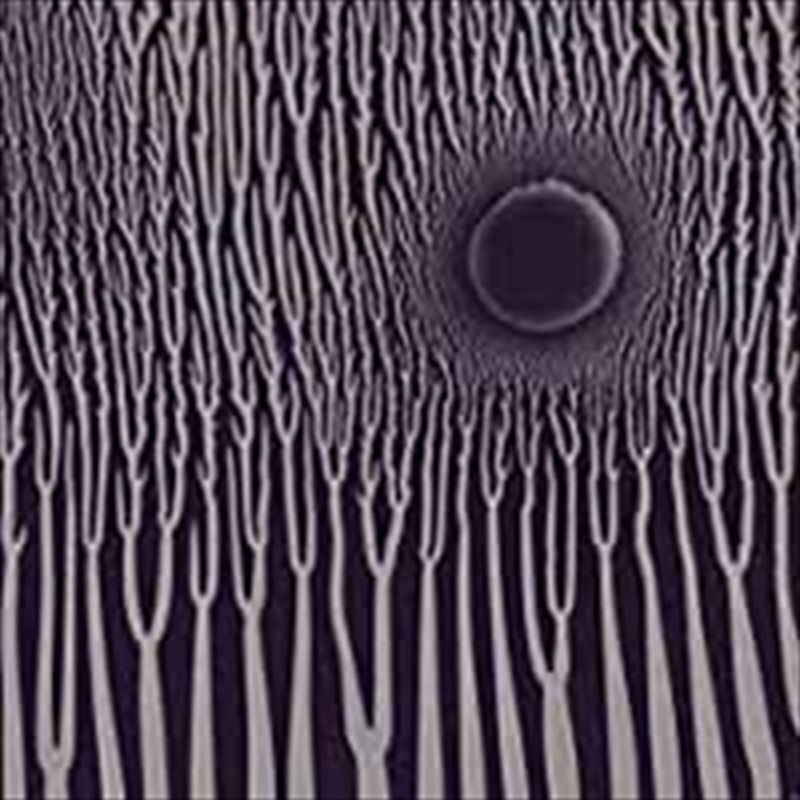 Grimm Robe Demos/Product Detail/Rock/Pop