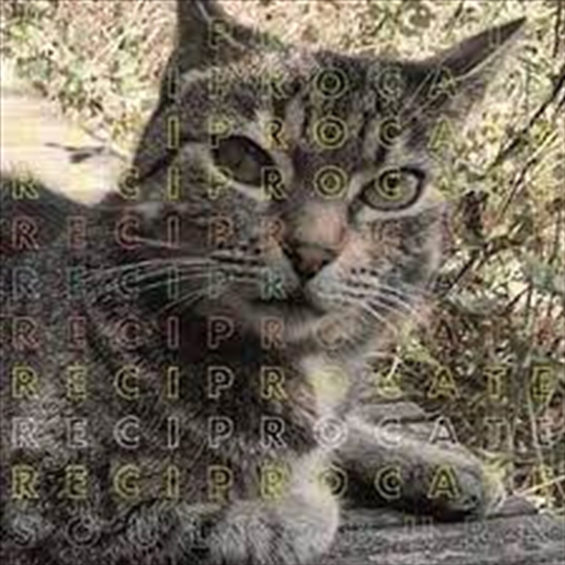 Soul To Burn/Product Detail/Alternative