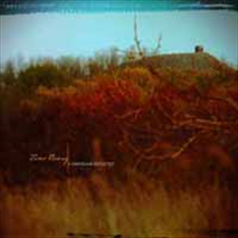 A Dimension Reflected/Product Detail/Rock/Pop