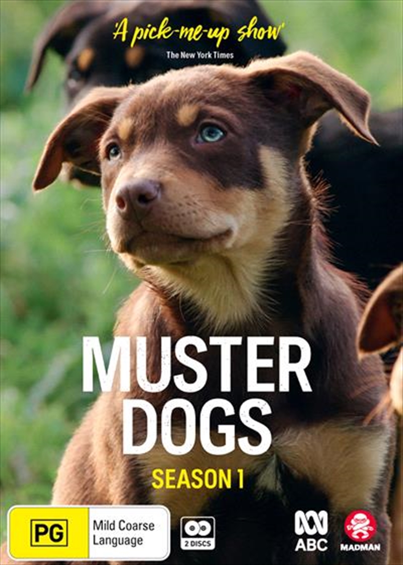 Muster Dogs - Season 1/Product Detail/Reality/Lifestyle