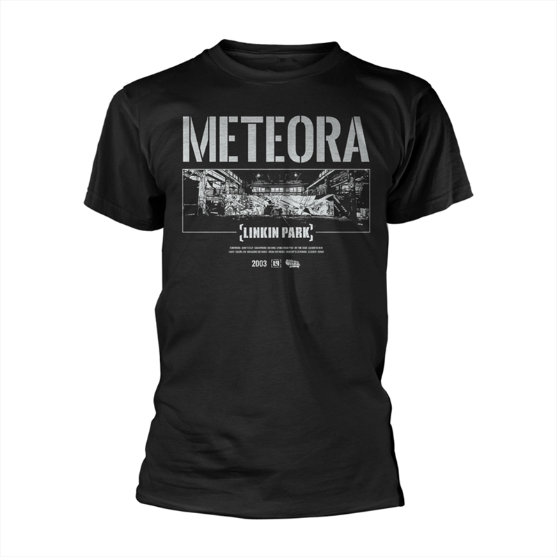 Linkin Park - Meteora Wall Art - Black - LARGE/Product Detail/Shirts