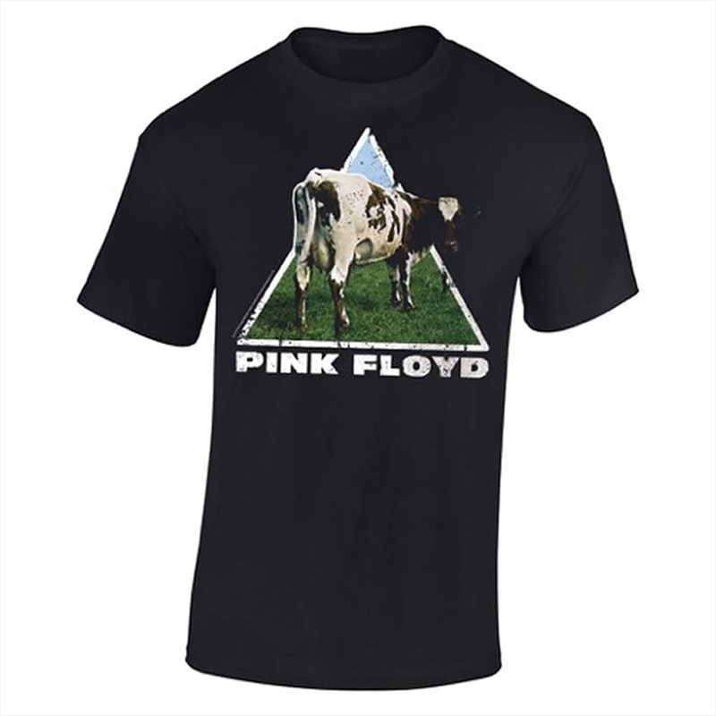 Pink Floyd - Atom Heart - Black - MEDIUM/Product Detail/Shirts