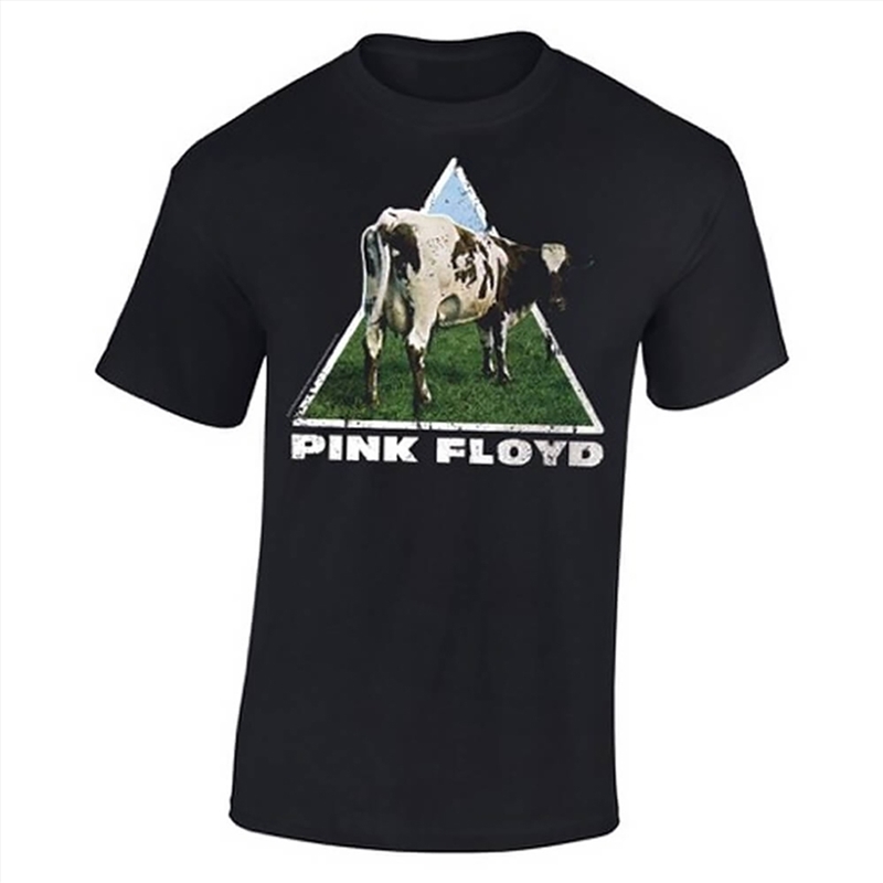 Pink Floyd - Atom Heart - Black - MEDIUM/Product Detail/Shirts