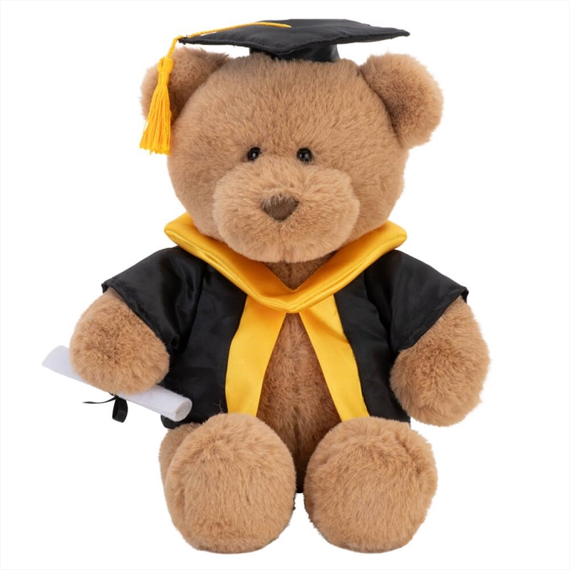 With Heart Graduation Bear With Scroll - Large/Product Detail/Plush Toys