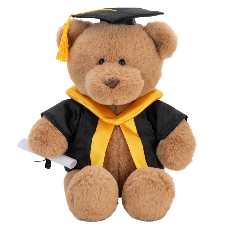 With Heart Graduation Bear With Scroll - Large/Product Detail/Plush Toys