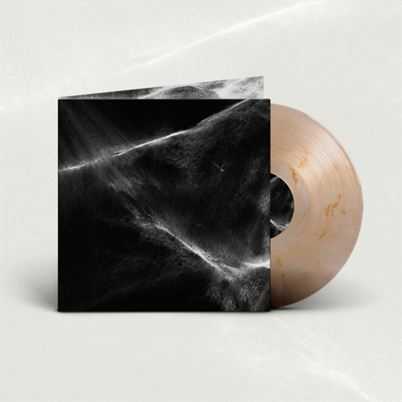 Final Light (Plastic Head Exclusive Clear/Brown Marble Vinyl)/Product Detail/Metal