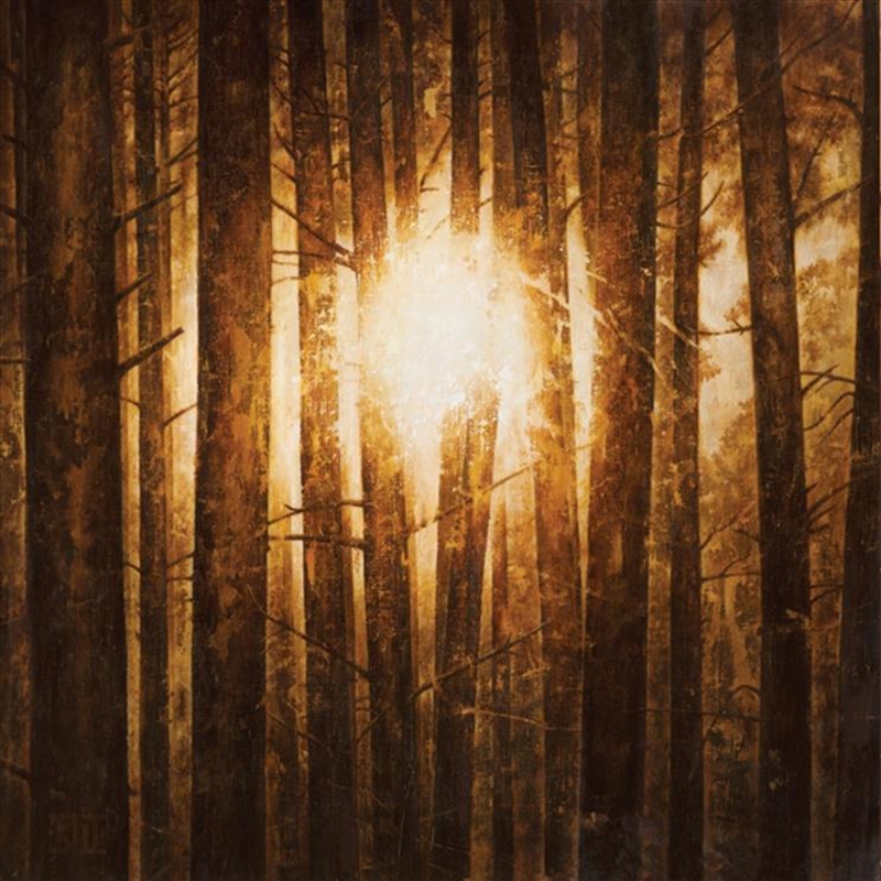 Echoes (3Lp) (Silver Vinyl)/Product Detail/Metal