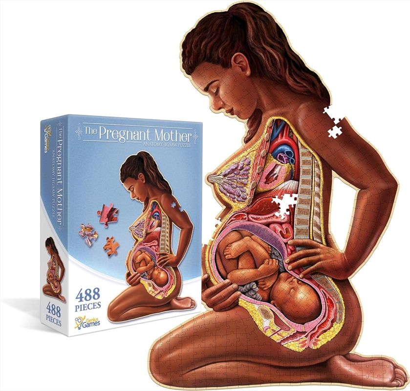 Dr. Livingston's Anatomy the Pregnant Mother Puzzle 488 pieces/Product Detail/Jigsaw Puzzles