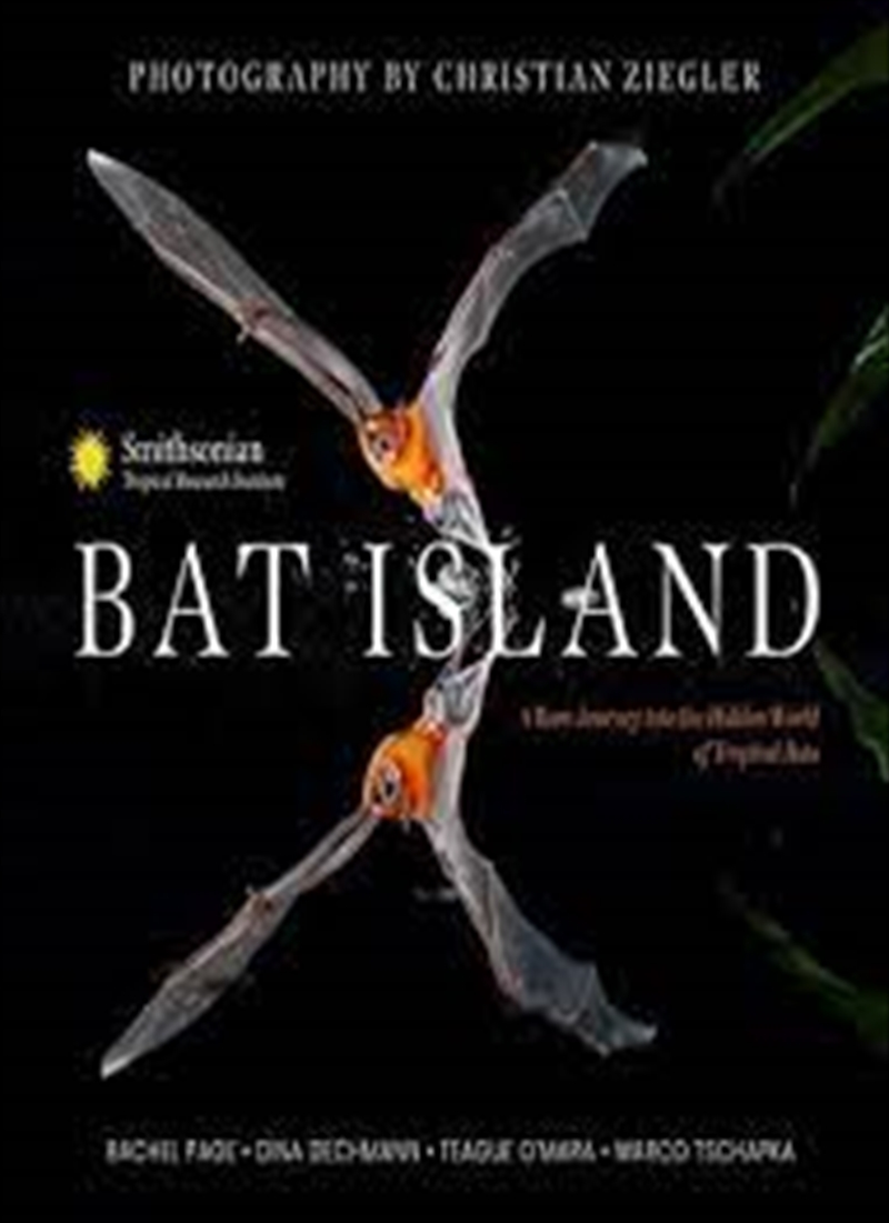 Bat Island/Product Detail/Animals & Nature