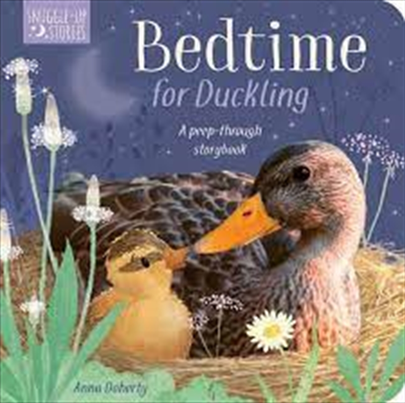 Bedtime For Duckling/Product Detail/Early Childhood Fiction Books