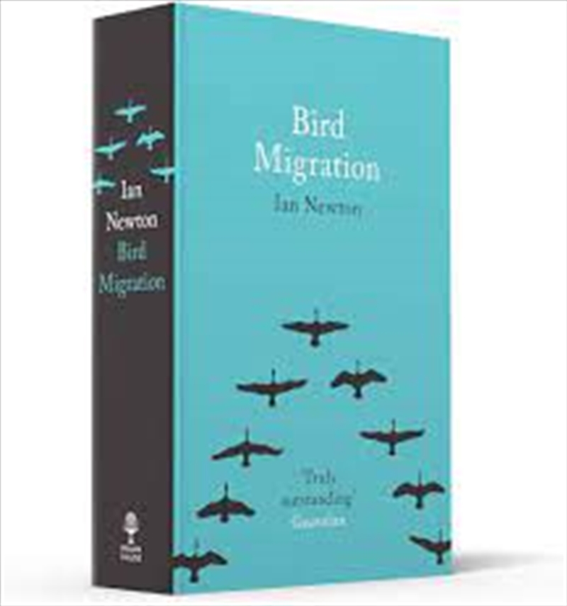 Bird Migration/Product Detail/Animals & Nature