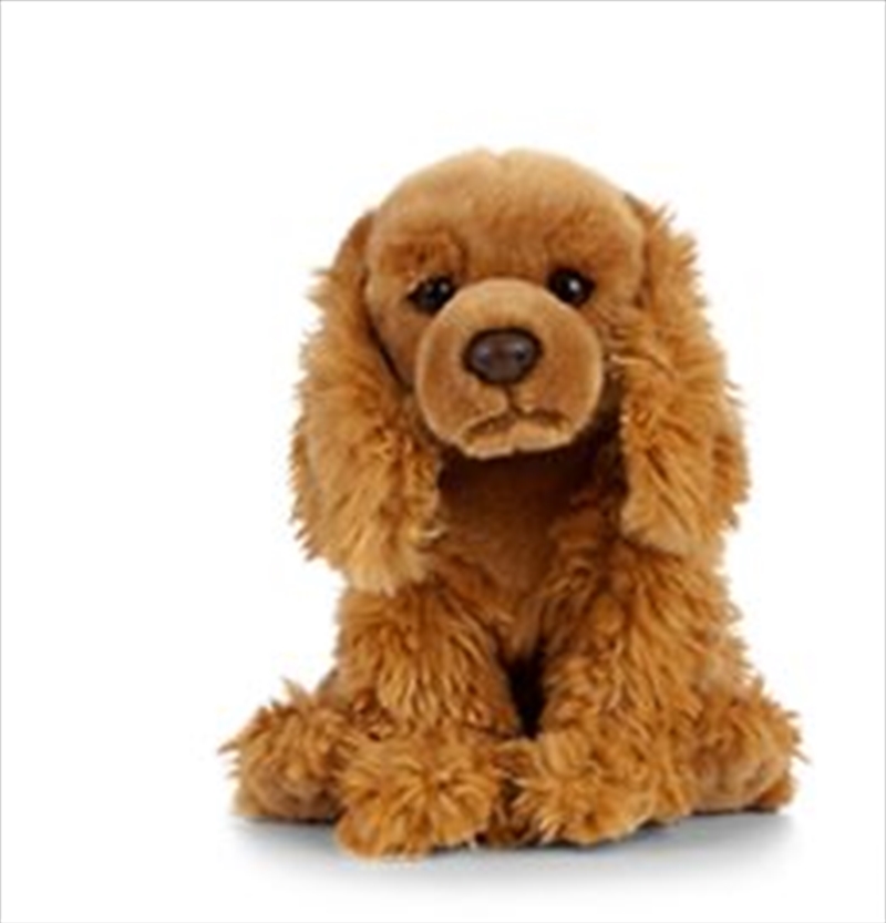 Cocker Spaniel 20cm/Product Detail/Plush Toys