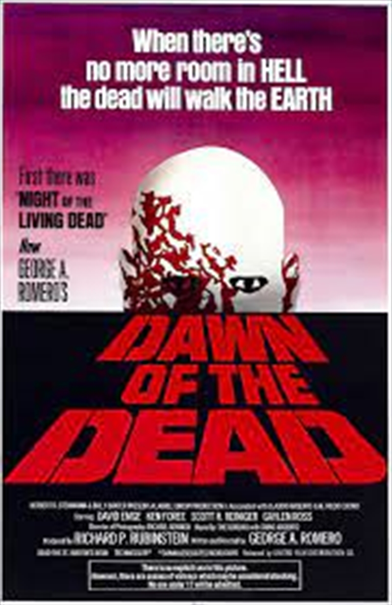 Dawn Of The Dead Tin Sign (20cm x 30cm)/Product Detail/Posters & Prints