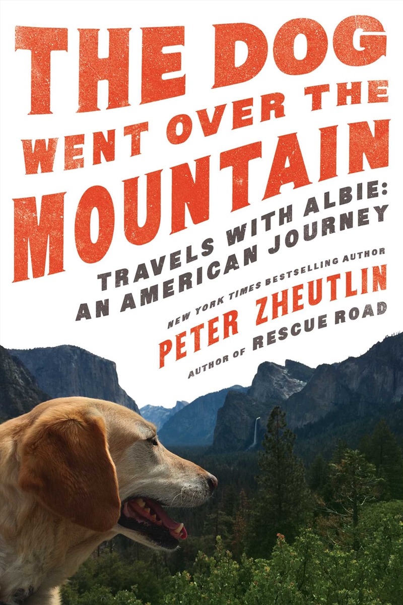 The Dog Went Over the Mountain/Product Detail/Animals & Nature