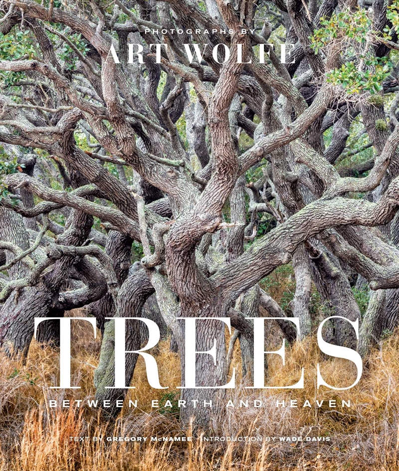 Trees (Gift Edition)/Product Detail/Arts & Entertainment