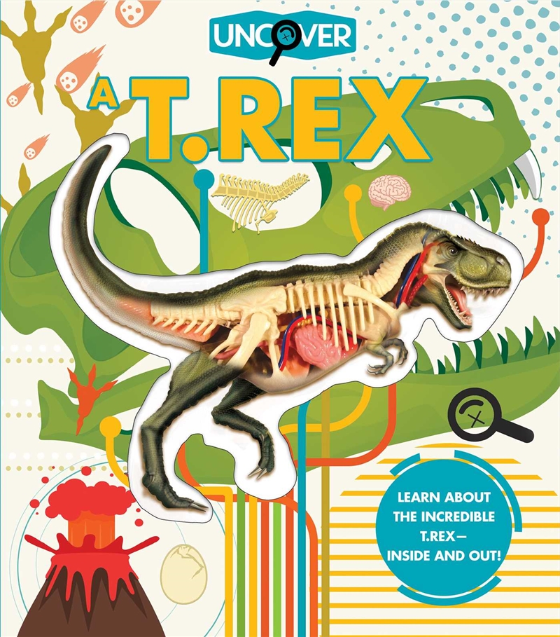 Uncover a T.Rex/Product Detail/Animals & Nature