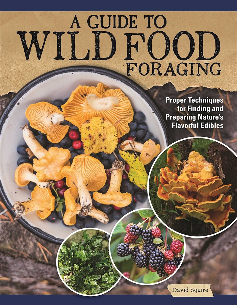 Guide to Wild Food Foraging/Product Detail/Recipes, Food & Drink