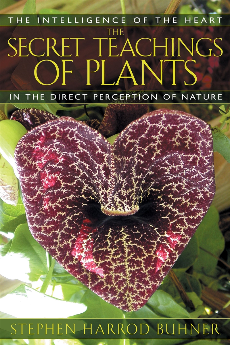 The Secret Teachings of Plants/Product Detail/Animals & Nature