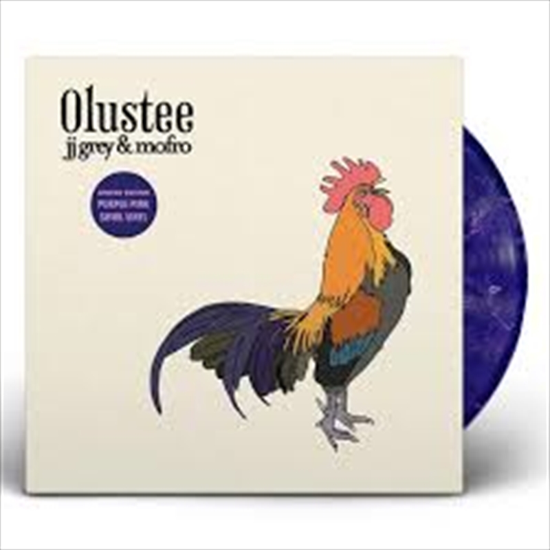 Olustee - Purple-Pink Swirl Vi/Product Detail/Rock/Pop