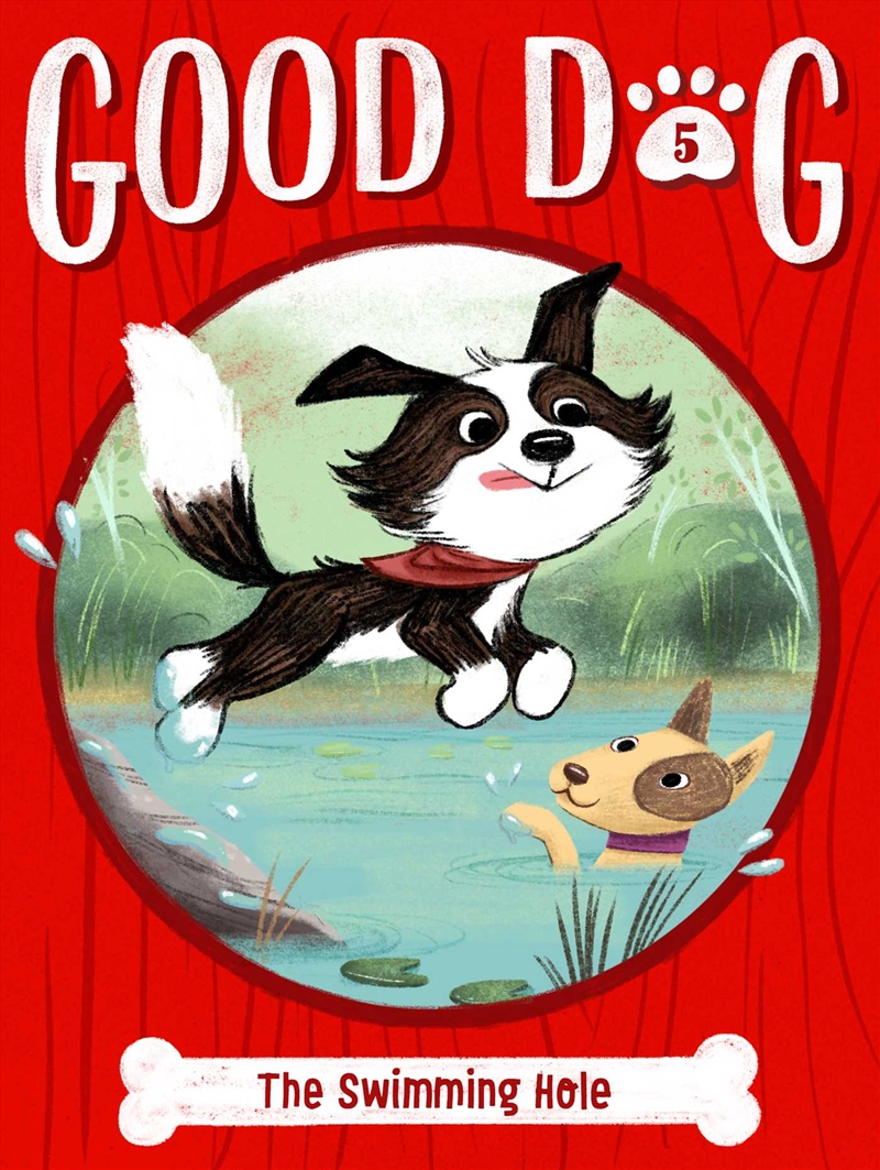 The Swimming Hole/Product Detail/Childrens Fiction Books