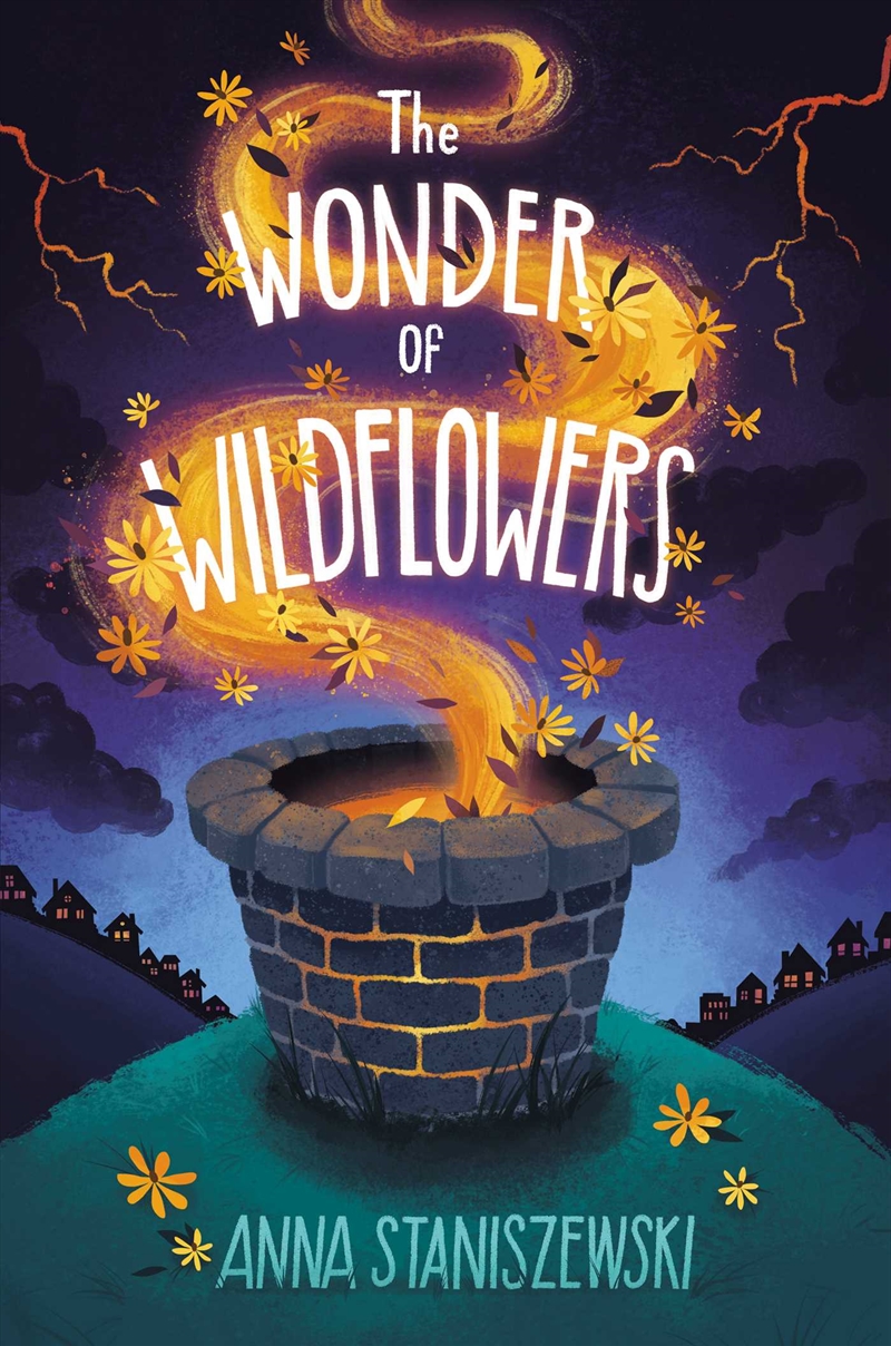 The Wonder Of Wildflowers/Product Detail/Childrens Fiction Books
