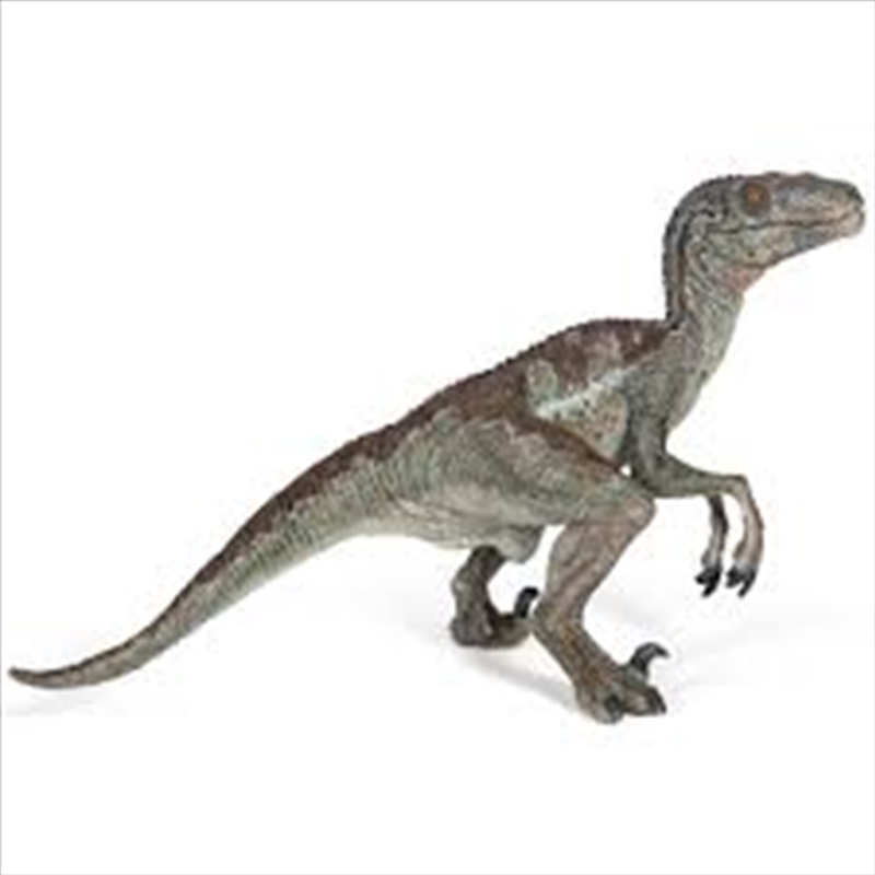 Papo - Velociraptor Figurine/Product Detail/Figurines