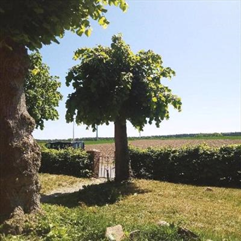 Into The Second Half/Product Detail/Dance