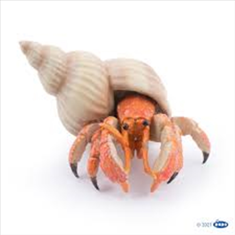 Papo - Hermit crab Figurine/Product Detail/Figurines
