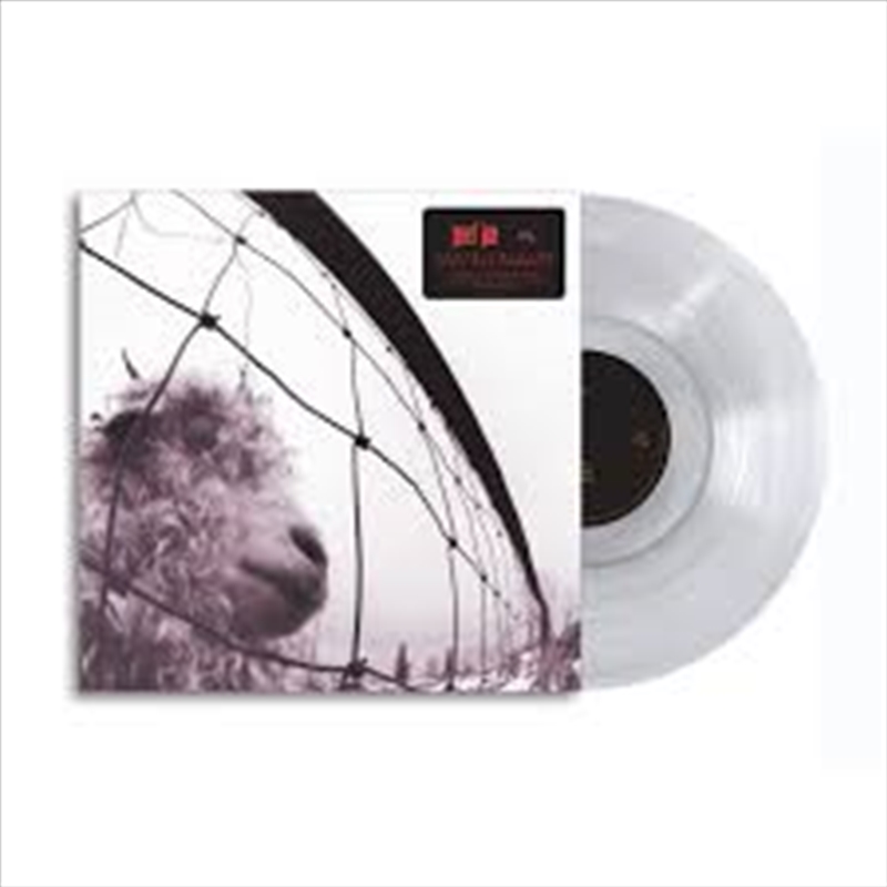 VS - 30th Anniversary Edition Clear Vinyl/Product Detail/Rock