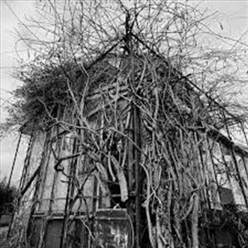 Dead Decades (Silver Vinyl)/Product Detail/Metal