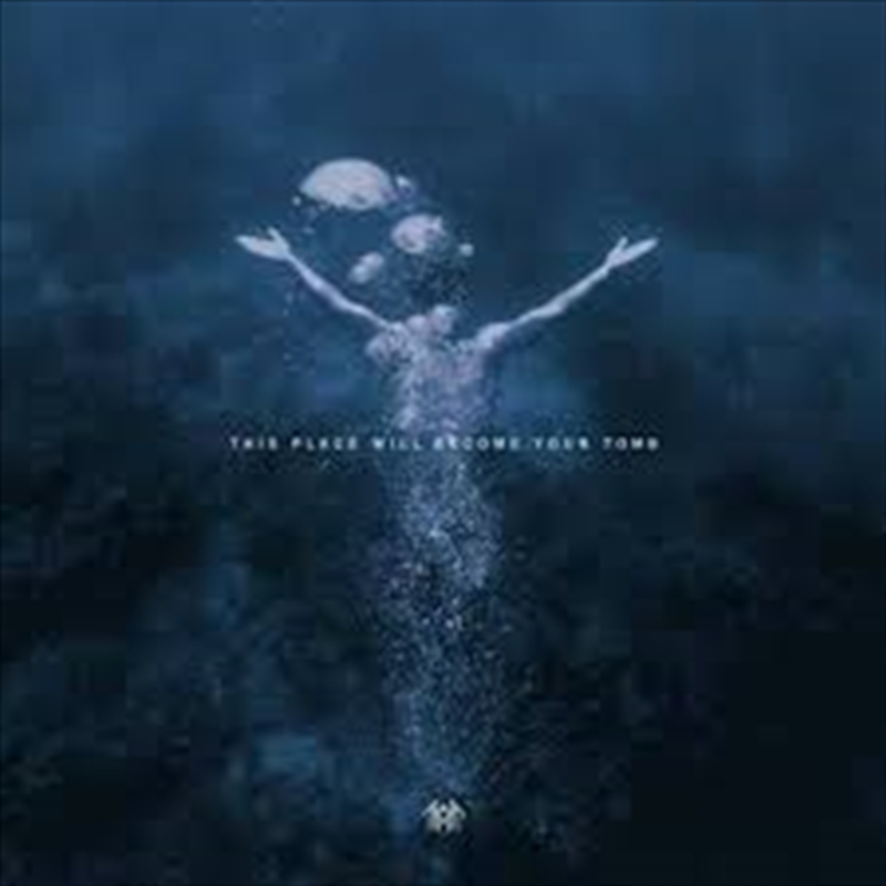 This Place Will Be Your Tomb - Clear/Black Marbled Vinyl/Product Detail/Metal