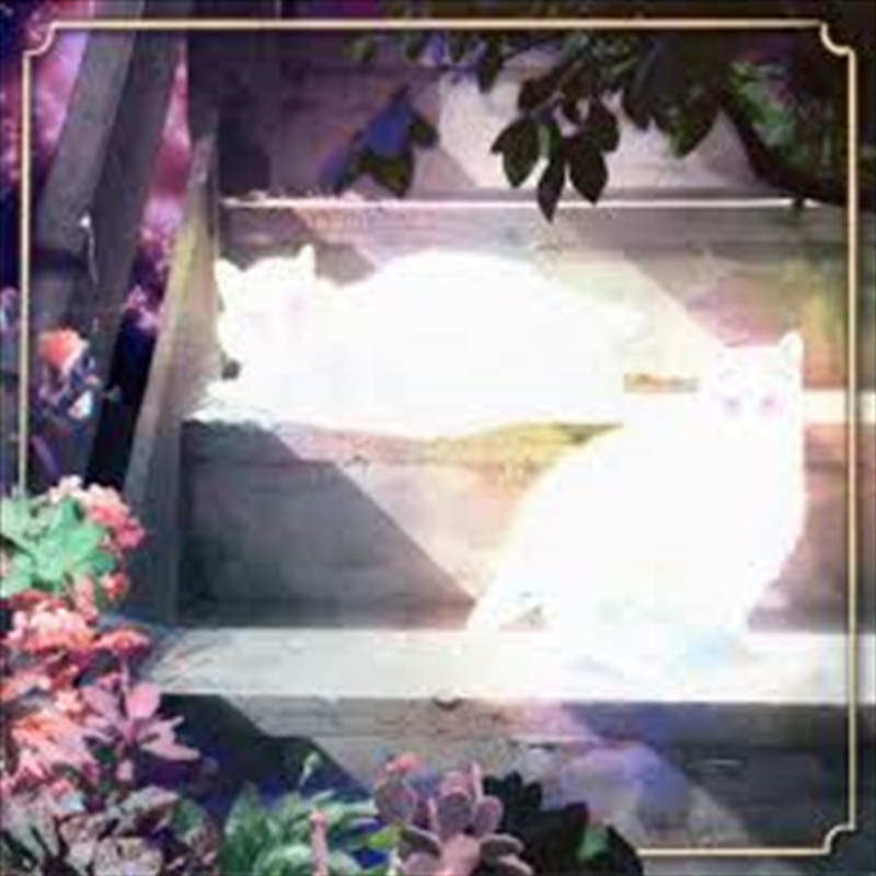 Retinal Bloom/Product Detail/Dance