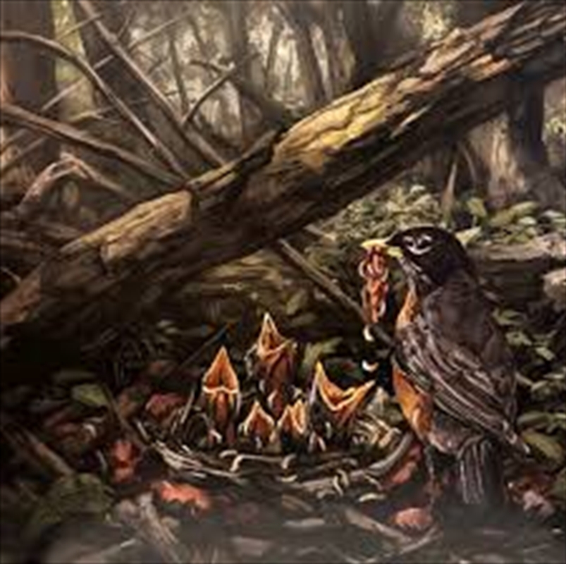 Step Into The Light/Product Detail/Metal