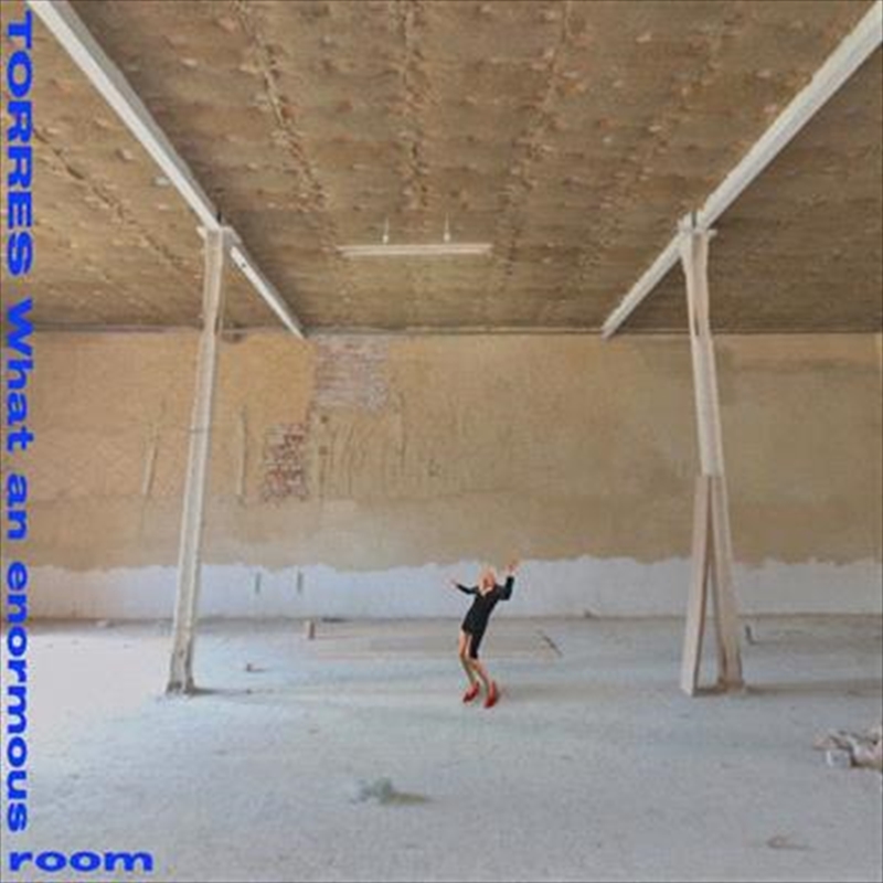 What An Enormous Room (Peak Vinyl Blue/White)/Product Detail/Alternative