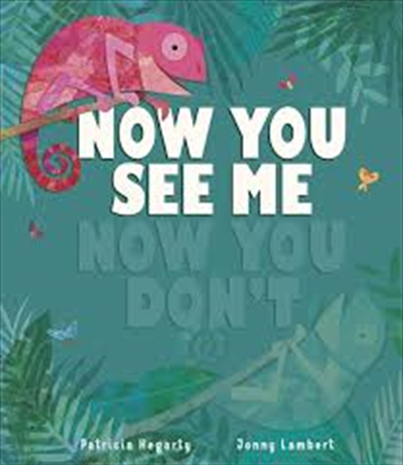 Now You See Me, Now You Don't/Product Detail/Early Childhood Fiction Books