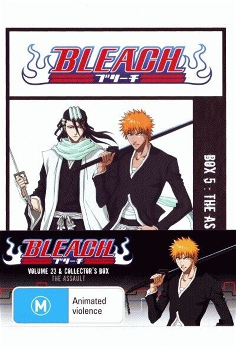 Bleach - Vol 23/Product Detail/Anime