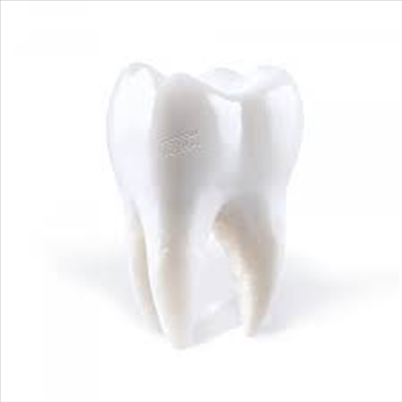 Teething/Product Detail/Dance