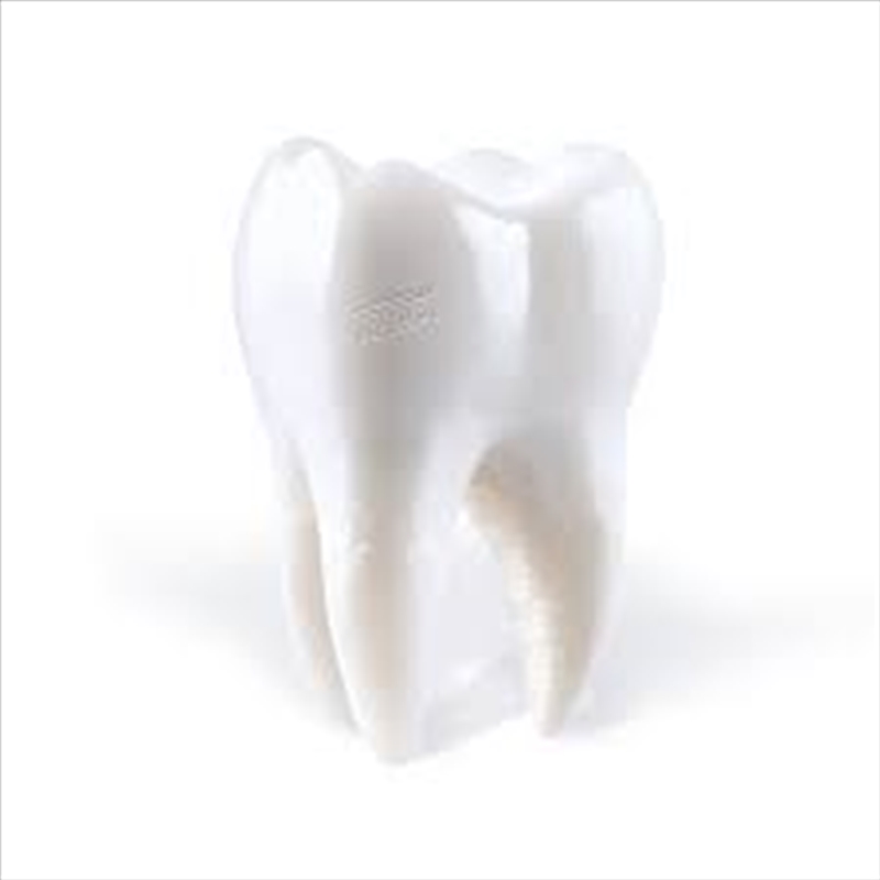 Teething/Product Detail/Dance