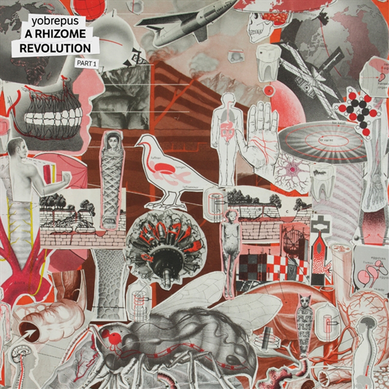 A Rhizome Revolution Part 1/Product Detail/Rock/Pop