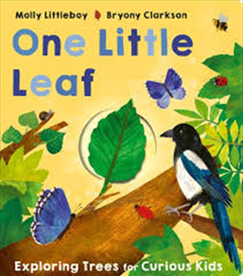 One Little Leaf/Product Detail/Early Childhood Fiction Books